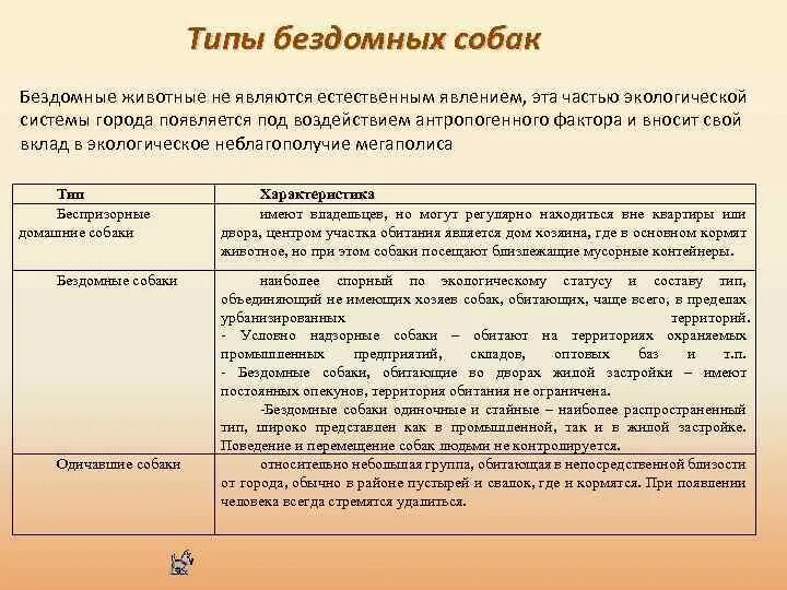 Виды бездомных. Виды бездомных животных таблица.
