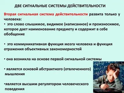 Вторая сигнальная система высшей нервной деятельности