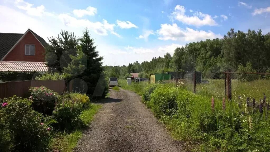 Зем уч. Николо-черкизово ясная 26. 382 участок москва. Николо-черкизово пятницкое шоссе. 382 участок москва.