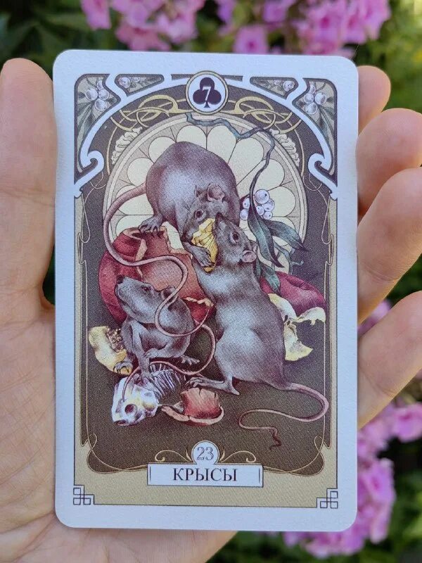 противоречие в душе таро это. навигатор таро. карта иерофант таро тота. таро навигатор. таро навигатор.