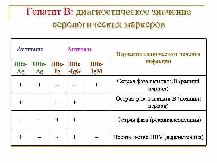 Динамика серологических маркеров гепатита в. Антитела к антигену гепатита в. Серологические маркеры при гепатите. Гепатит б антигены и антитела. Кровь на маркеры гепатита в и с