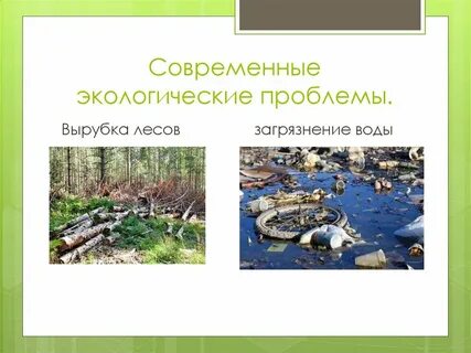 Современные экологические проблемы