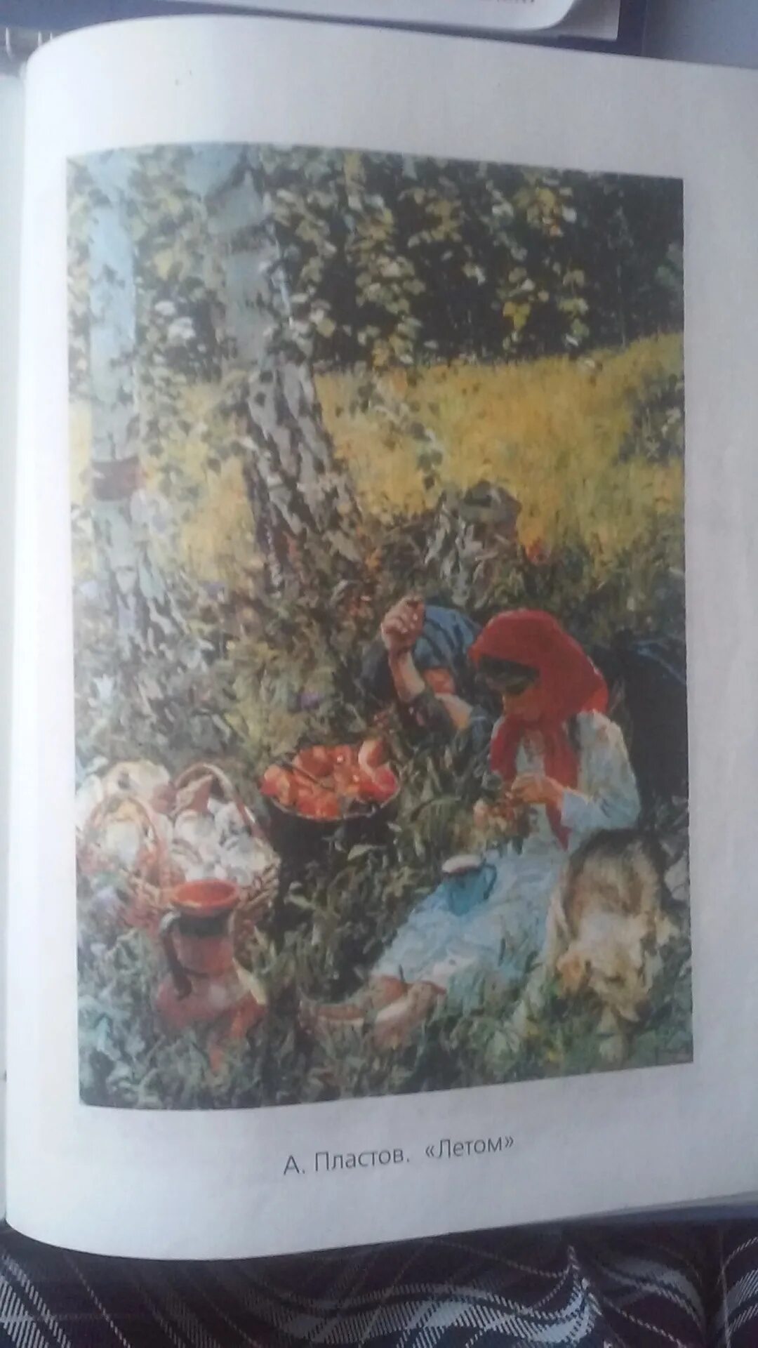 Пластов летом какой жанр. Пластов летом. картина пластова летом. книга пластов. пластов летом в советском учебнике.