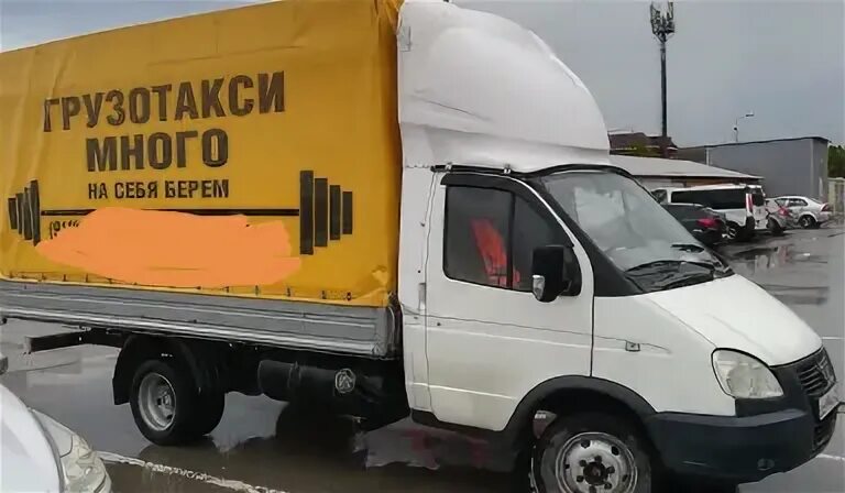Газель темрюк