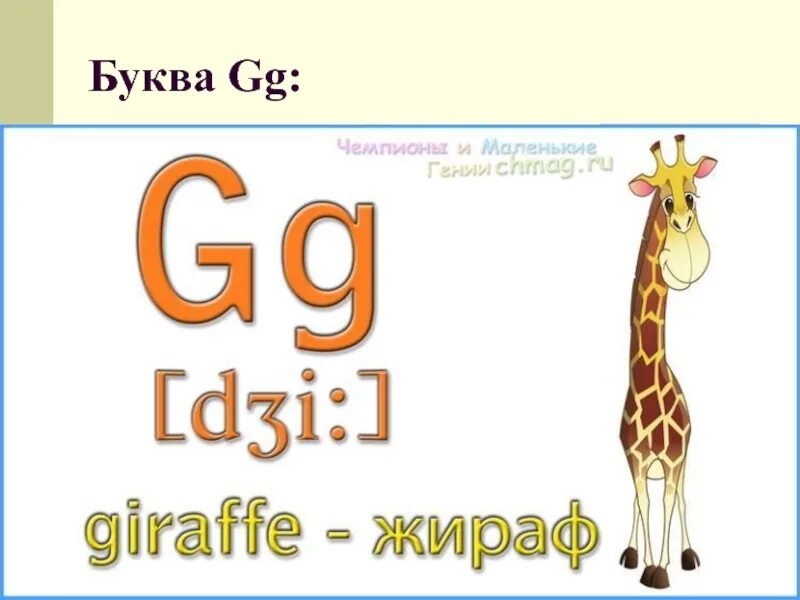 Жираф звуки буквы. Буква g в английском. Английская буква g в картинках. Английские буквы для детей. Слова на букву g на английском.