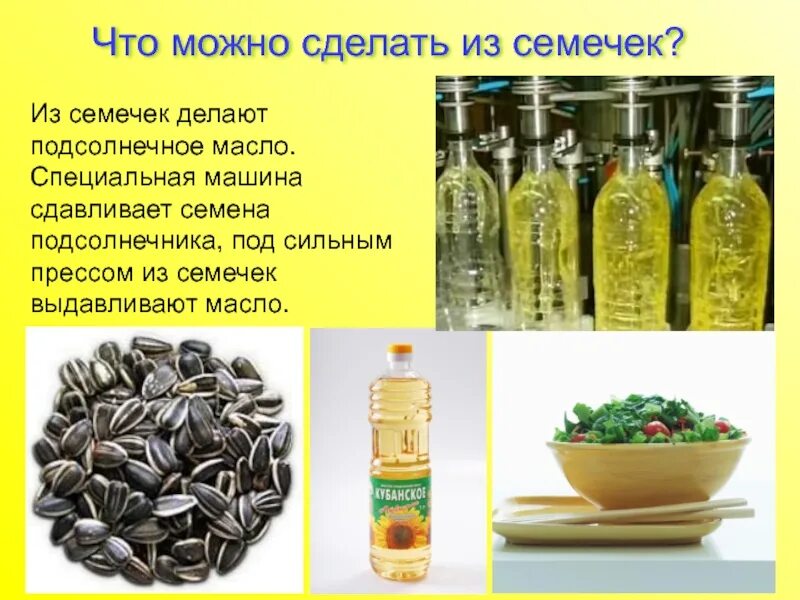 Чтобы получить растительное масло человек выращивает. Растительные масла из семян. что делают из семечек. из чего изготавливают растительное масло. масло из семян подсолнечника.