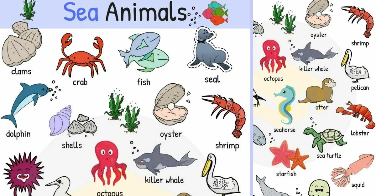 Нерпа анимация. Animals that live on land. Sea animals names. Animals that live in water. Animals that live in water.
