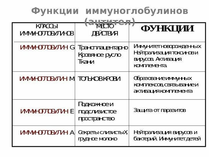 Роль иммуноглобулинов. Функции классов иммуноглобулинов. Функции разных классов иммуноглобулинов. Классы иммуноглобулинов микробиология таблица. Иммуноглобулины классы и функции.