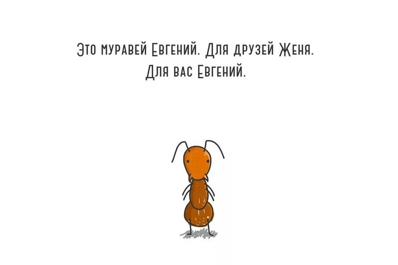 Цитаты про женю. Забавные стишки про женю. Муравей евгений комикс. Смешные высказывания про женю. Песня про женю текст.