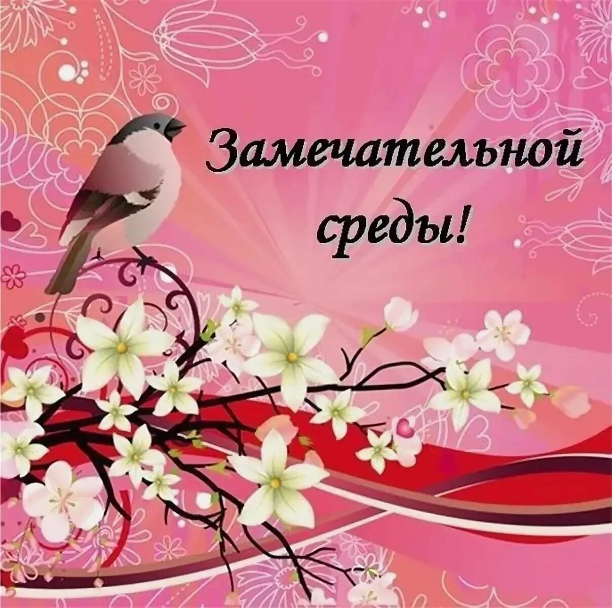 С добрым весенним утром среды. Красивые поздравления со средой. Прекрасной среды. Открытки замечательной среды. Открытки со средой.