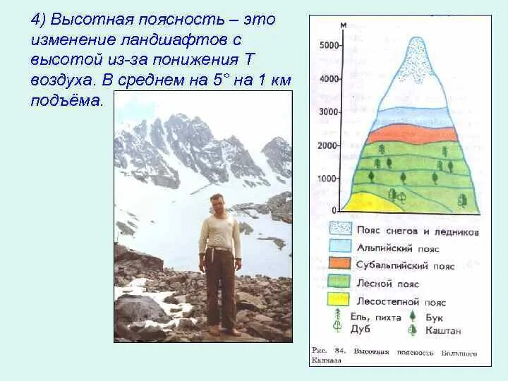 Примеры проявления широтной зональности и высотной поясности. Примеры проявления широтной зональности и высотной поясности