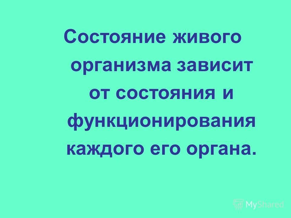 Основания в живых организмах