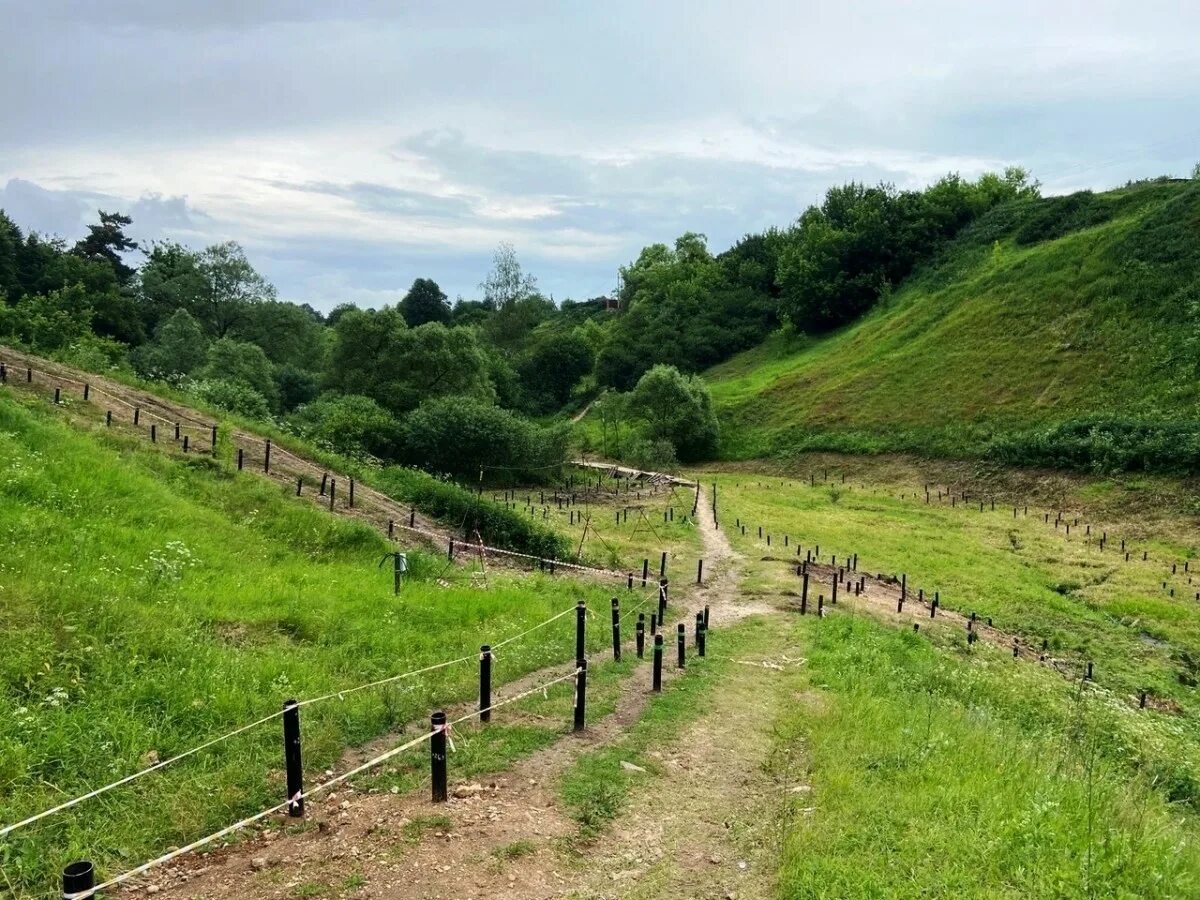 Овраг текижа боровск. Калужская область. Овраг в боровске. Овраг в боровске. Тенежский овраг боровск.
