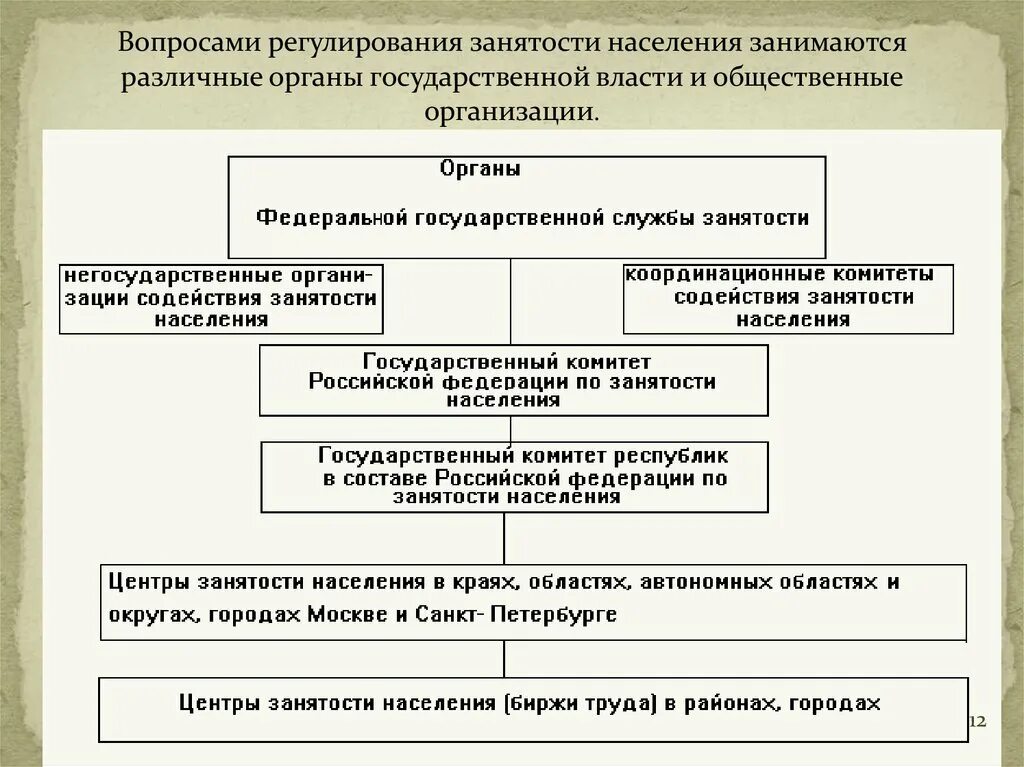 Структура органов службы занятости. Структура органов занятости населения в Российской Федерации. Структура государственной службы занятости. Структура органов занятости населения в Российской Федерации схема. Государственного управления занятостью населения