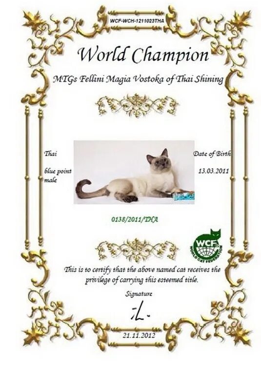 Титулы wcf. Титулы кошек по системе wcf таблица. Кот с наградой. Родословная британского кота. Wcf международная федерация кошек.