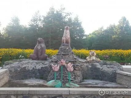 Погода шмаковке приморском крае