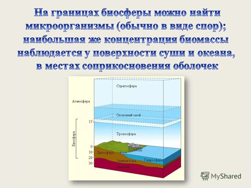 Наибольшее количество живых организмов сосредоточено на высоте