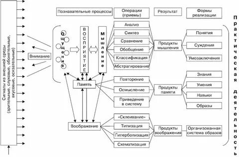 Мышление процесс переработки информации