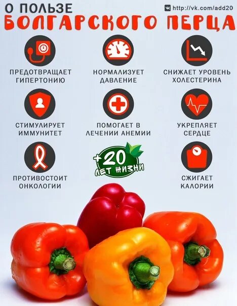 Купить Перец Эспартана (рассада) Тюльпаны к 8 марта 2022г БотаникШоп Смоленс