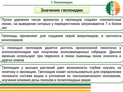 Образуются полиплоидные клетки
