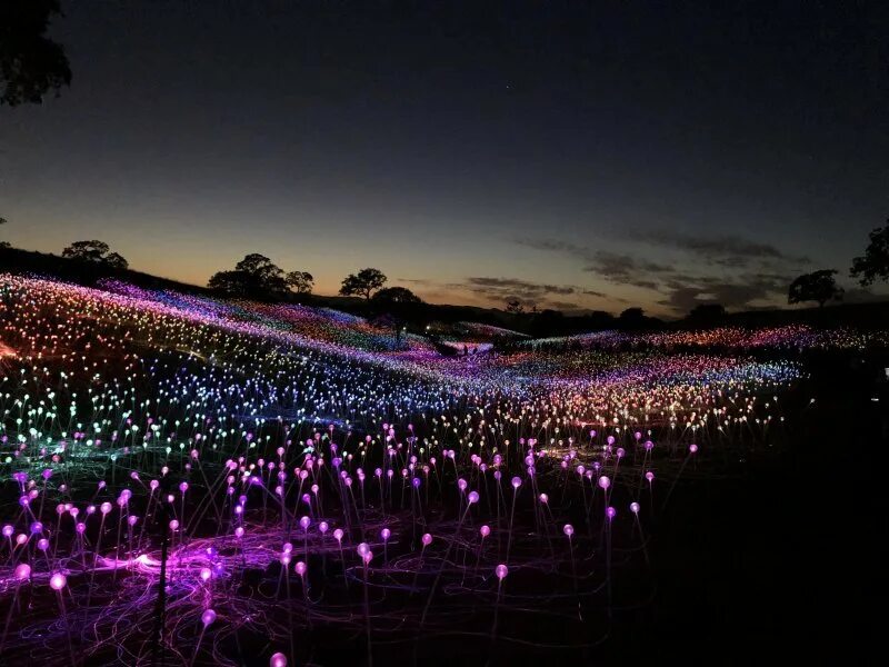 Football field night light. Освещение мини футбольного поля мачты. Sport light. Light field. Light field.