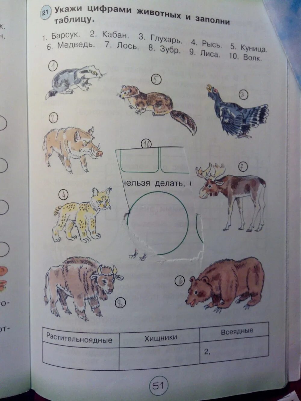 Тетрадь окружающий мир 1 класс стр 51. Окружающий мир 1 класс рабочая тетрадь 1 стр 51. Тетрадь окружающий мир 1 класс стр 51. Тетрадь окружающий мир 1 класс стр 51. 1 класс по окружающему миру про весну.