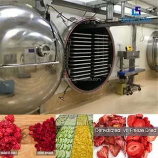 Вакуумная сушилка для овощей