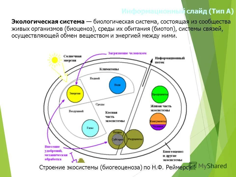 микробиология это наука изучающая. особенности биологических систем. системы в биологии. гетерогенной является система:. проблема развития науки биологии.