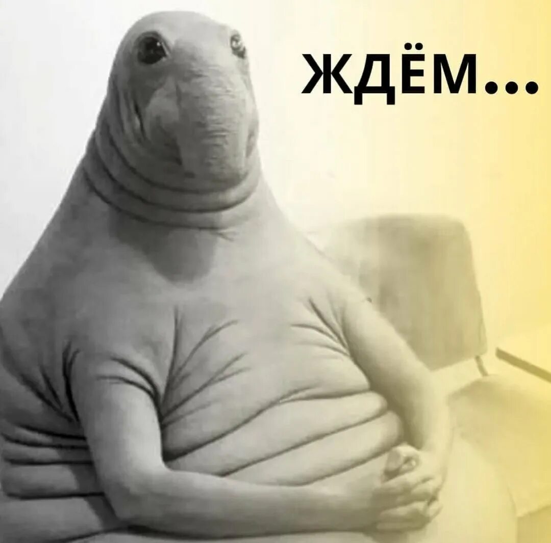 Открытка ждем вас. Ждем вас за покупками. Мы вас ждем картинки. Приглашаем за покупками надпись. Ждем вас с нетерпением.