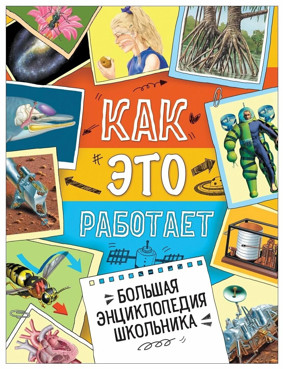 Современная школьная энциклопедия. Большая энциклопедия школьника издательство махаон. Большая энциклопедия эрудита. Обложка энциклопедии. Большая энциклопедия.
