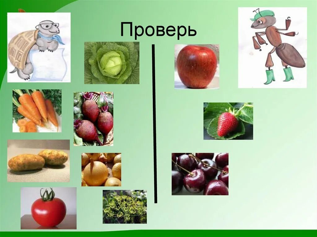 Фрукты 1 класс окружающий. Овощи окружающий мир. Овощи и фрукты презентация 1 класс. Занятие окружающий мир овощи. Почему полезно есть фрукты 1 класс