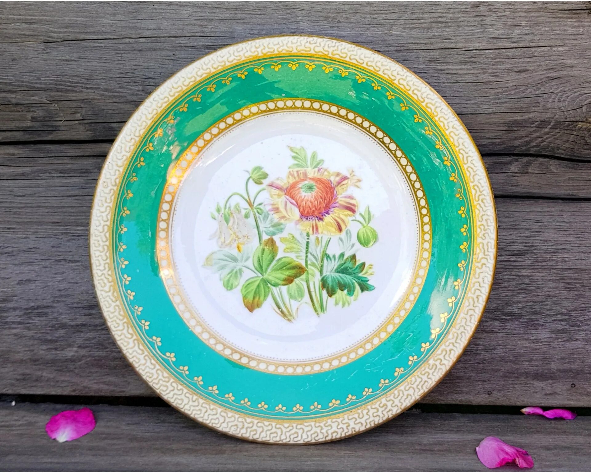 Тарелка мелкая 16,5см полевые маки 7с1149ф34. Тарелка сайт. Тарелка мелкая 9 мак т9-7686а. Тарелка десертная 240 мм haussmann orangeraie. Тарелка сайт.