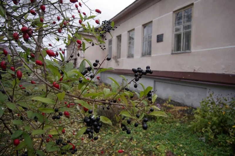 Церковь поселок бобровский. Погода ясенки бобровского. Погода ясенки бобровского. Погода ясенки бобровского. Погода ясенки бобровского.