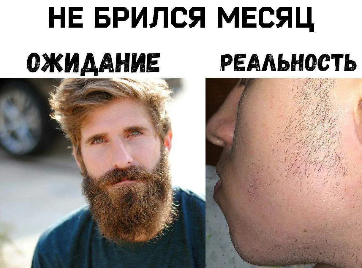 Чаще бреешься быстрее растет борода. Отращивание бороды. атрашевсние бороды. отрастить бороду. борода ожидание реальность.