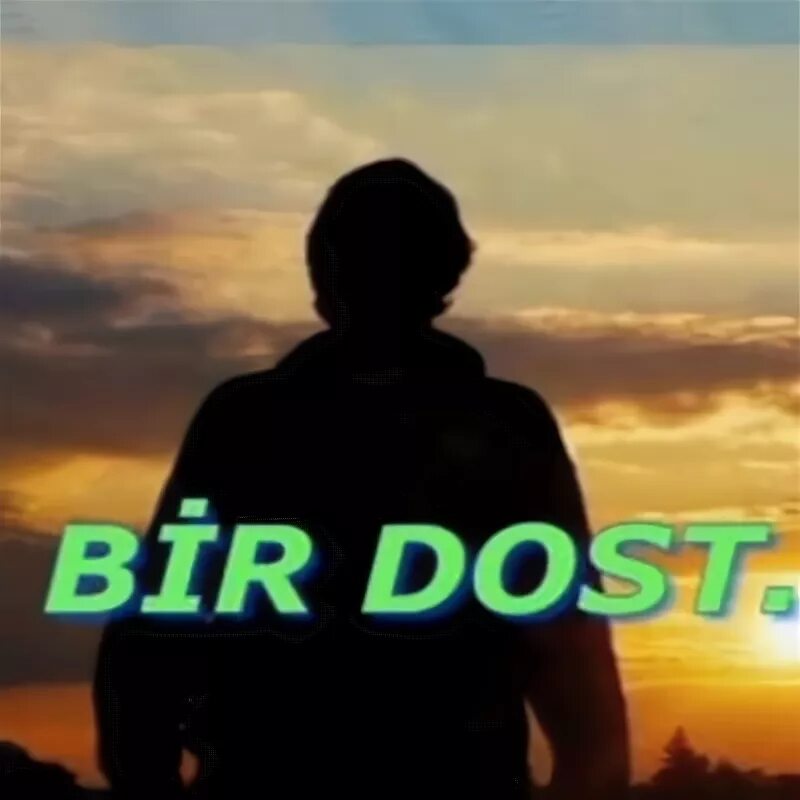 Bir dost