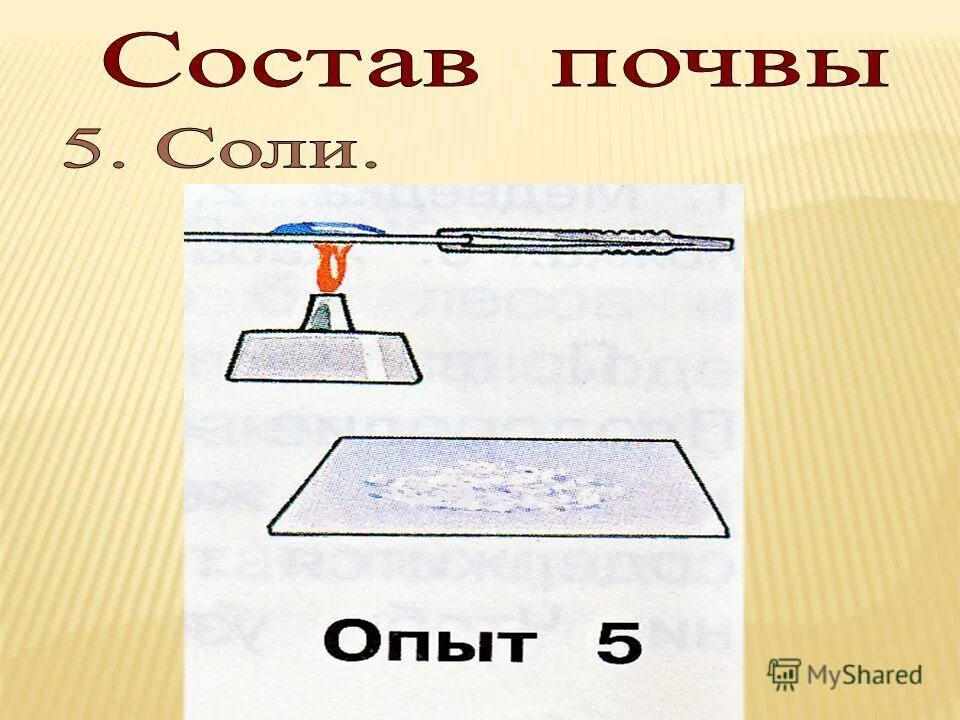 опыт обнаружения минеральных солей. опыт соль в почве. опыт из почвы. опыты соли в почве. в почве есть минеральные соли опыт.