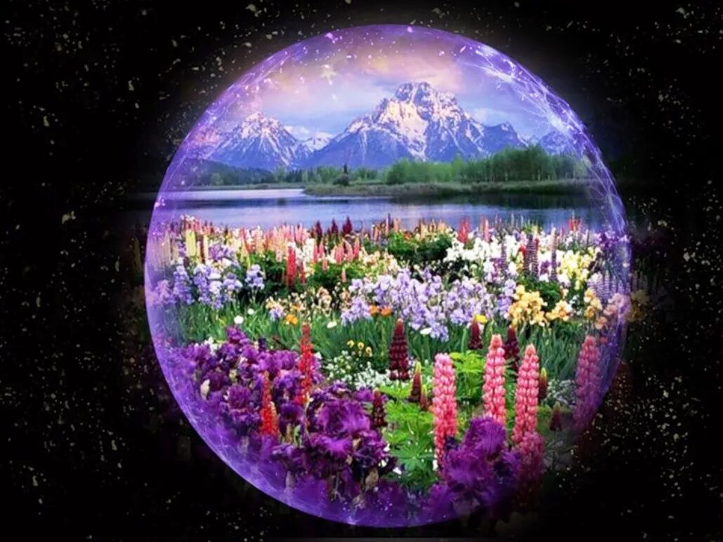 Цветы планеты. Цветущая Планета. Цвети земля. Цветущая Планета земля. Цвети и украшай этот мир