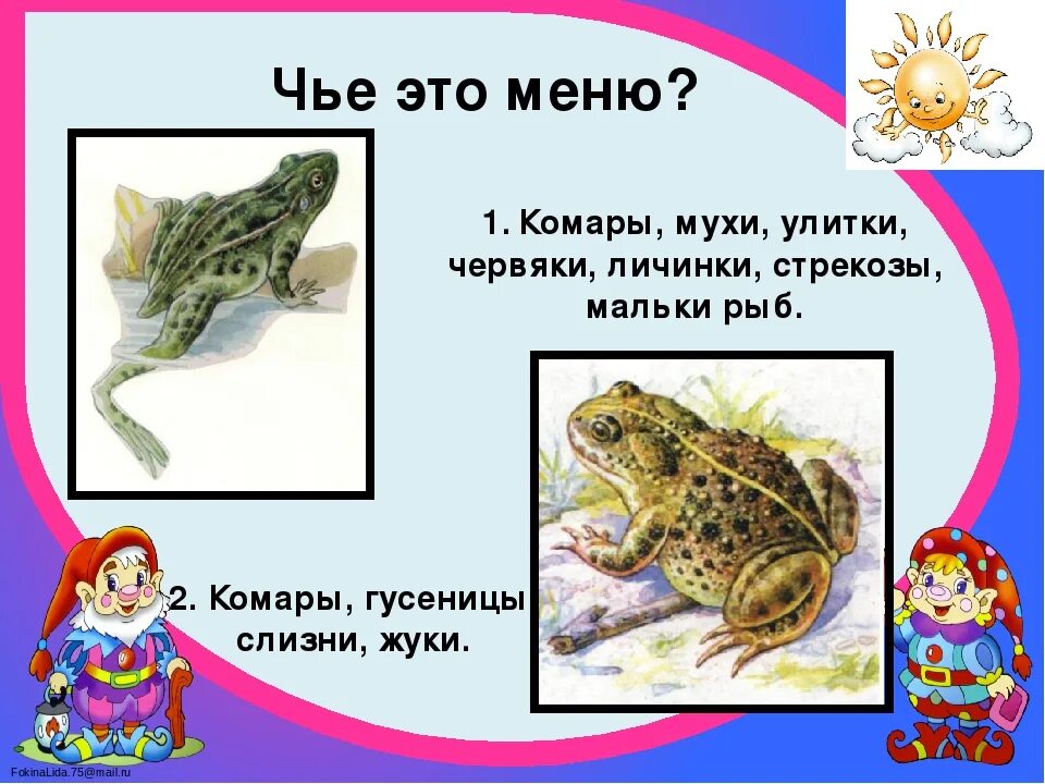 Различие лягушки и рыбы. Отличие Жабы от лягушки. Сходство лягушки и Жабы. Жаба и лягушка отличия. Сходство и различие лягушки и Жабы.