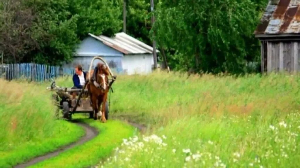 Решили переехать в деревню. Лето в деревне. Деревня фото. Фото деревни летом. Лето в деревне фото.