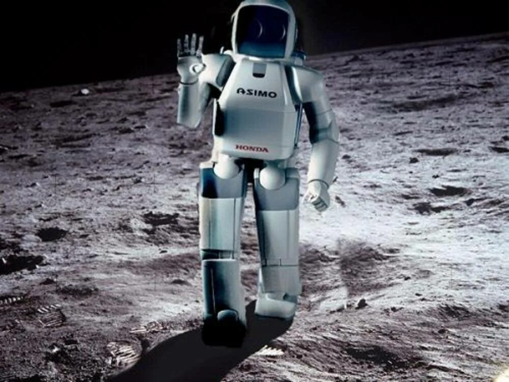 Moon robots
