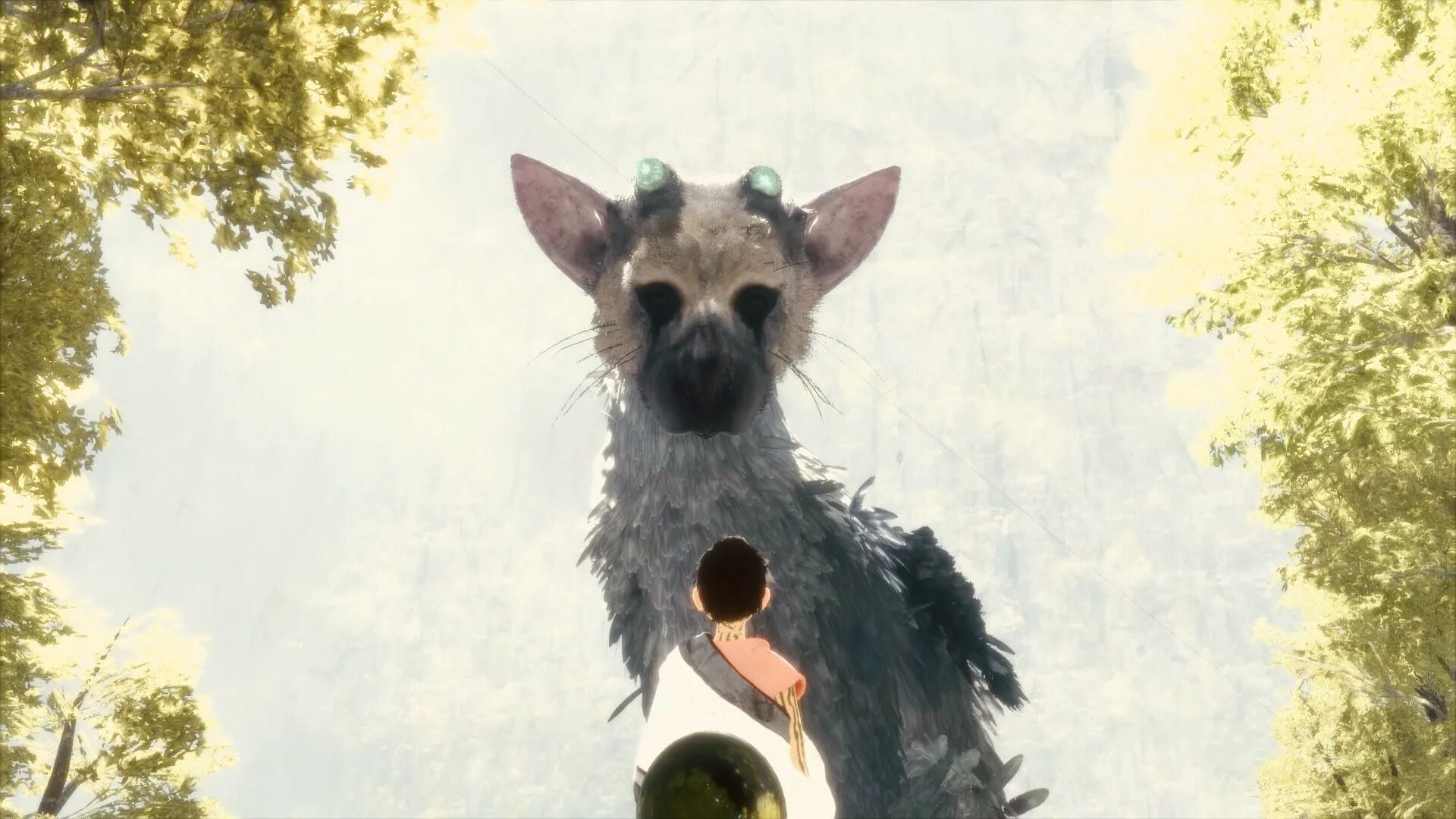 Трико ласт Гардиан. Трико the last Guardian. Трику зверь the last Guardian.