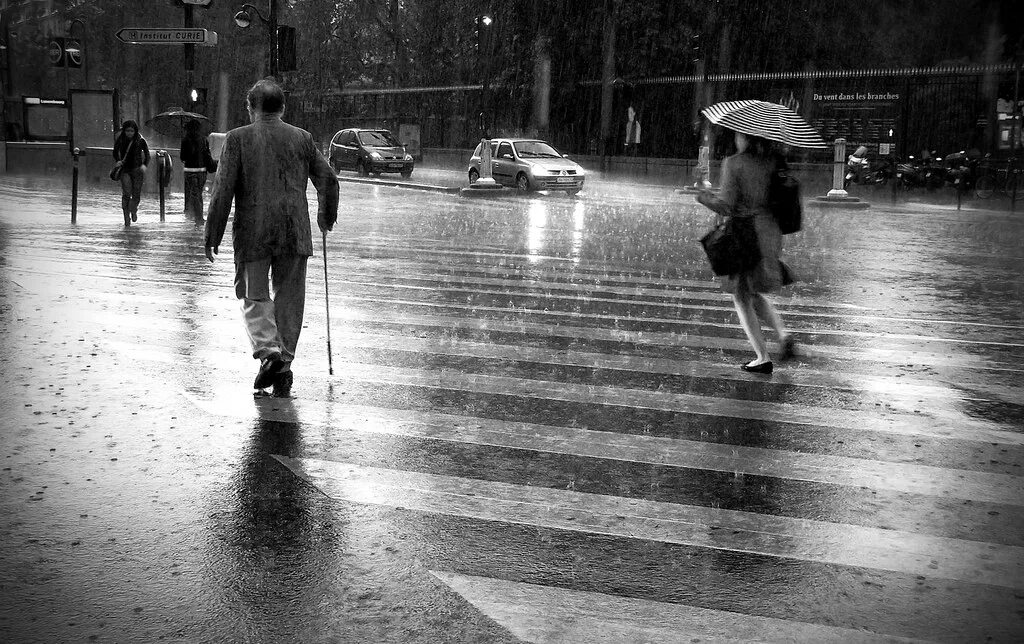 The day the rains came. Слепой дождь. Слепой дождик. Слепой дождь картинки. Лето после дождя.