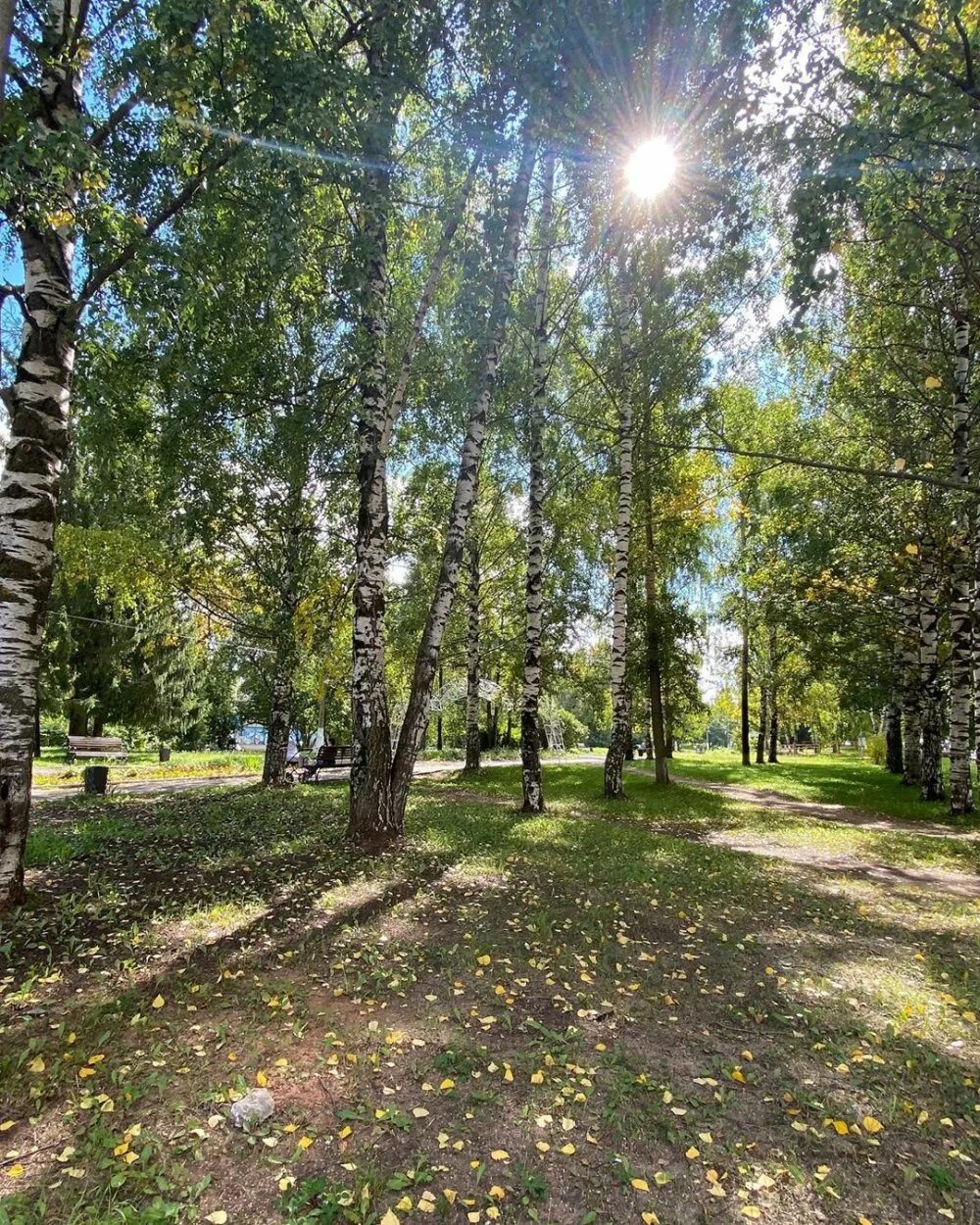 Солнечный день первомайская. Солнечное лето. Солнечный день первомайская. День на природе. Природа солнце.