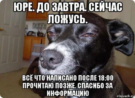 Прочту попозже