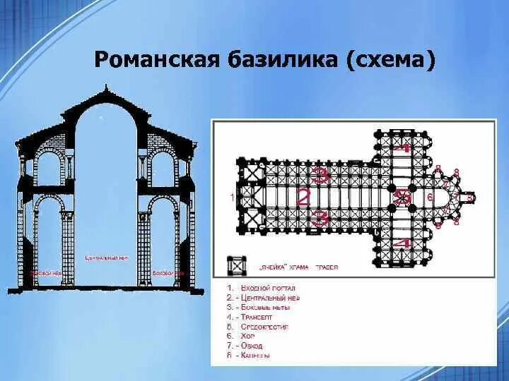 Тип базилики