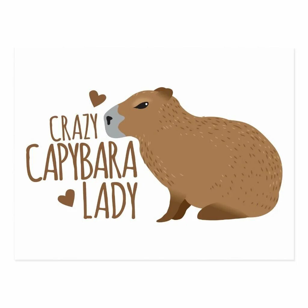 День капибары. Капибара лого. Капибара рисунок. RFGB,FHF C ltyb hj;ltybz. My pets capybaras
