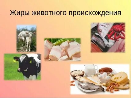 Реализация продукции животного происхождения