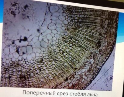 Под срез