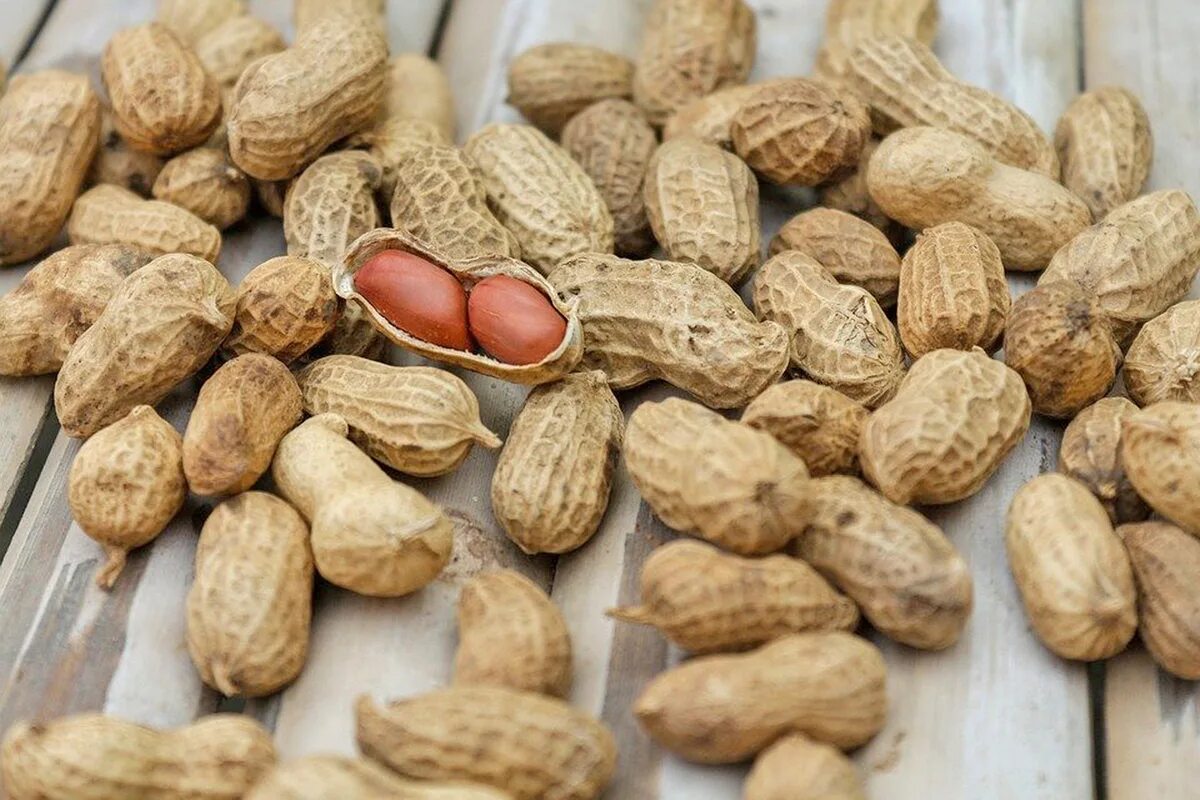 Арахис peanuts. Земляной орех арахис. арахис это бобовые. сорта арахиса.