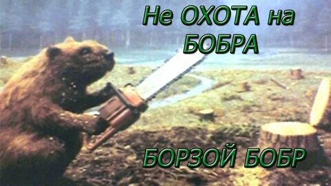 Не охота
